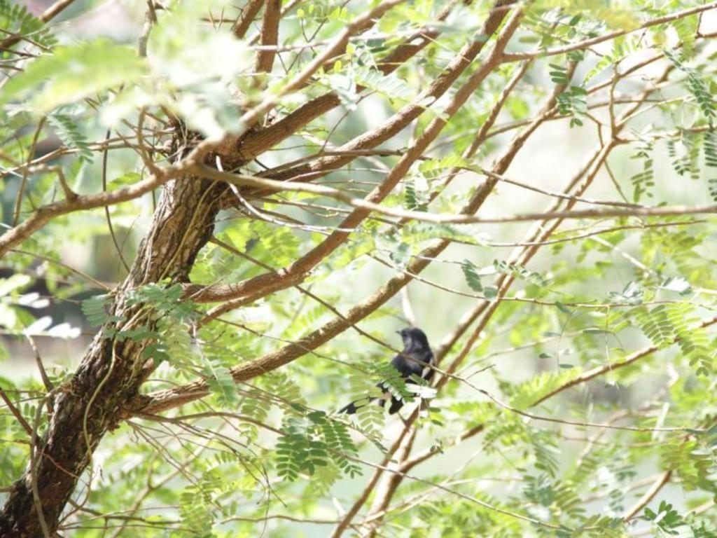 Rommai Rimnaam Resort Ranong Exteriér fotografie
