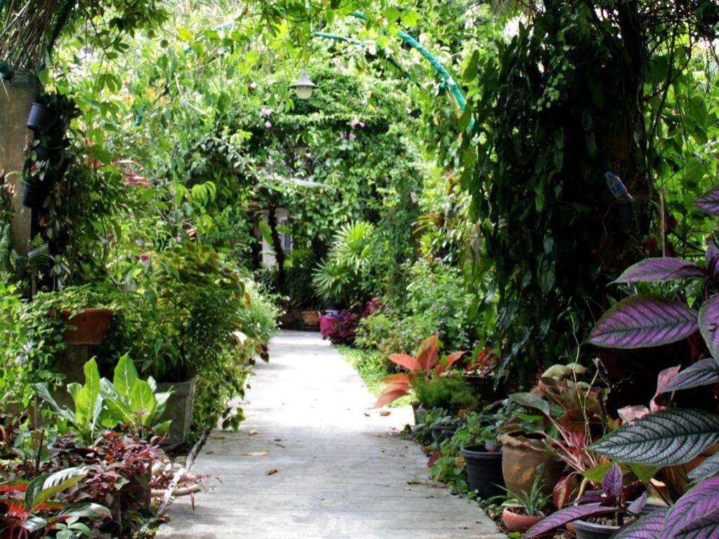 Rommai Rimnaam Resort Ranong Exteriér fotografie